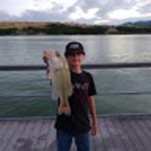 Meet your Posher, Dawson